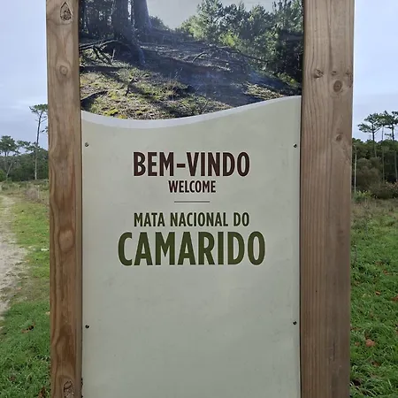 Afife Beach Apartment Apartamento *