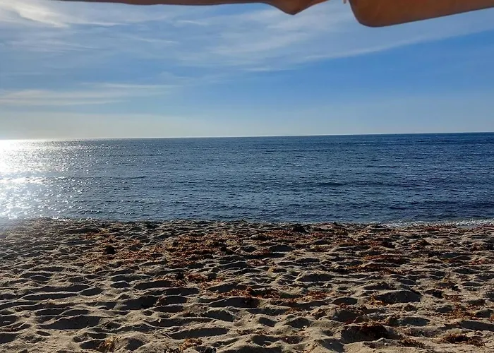 Afife Beach Apartment Apartment