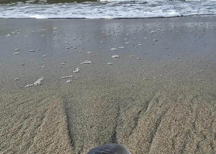 Apartamento Afife Beach Apartment Afife