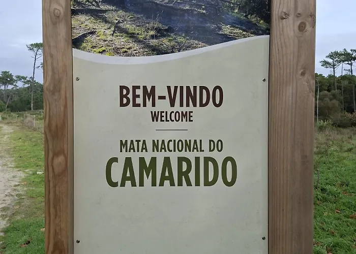 Afife Beach Apartment Apartment *