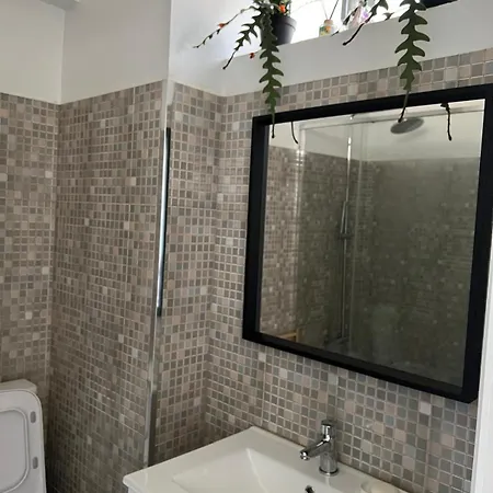 Afife Beach Apartment Apartamento *
